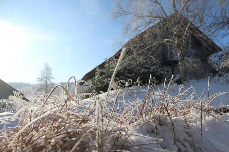 schneebecktes Gras vor einem Ferienhaus