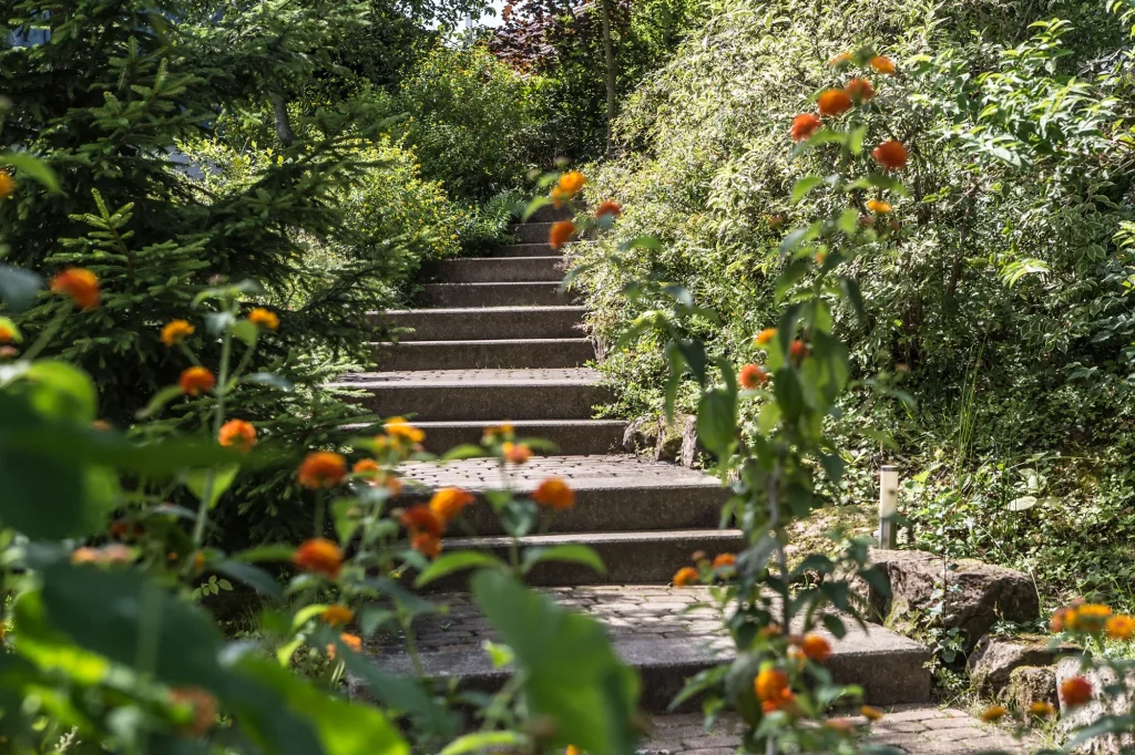 Steintreppe, die an beiden Seiten mit vielen grünen Pflanzen gesäumt ist