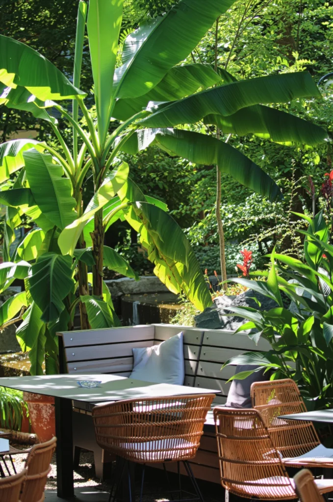 Ein Gartenplatz mit Bank, Tisch und Korbstühlen vor einer großen Bananenstaude