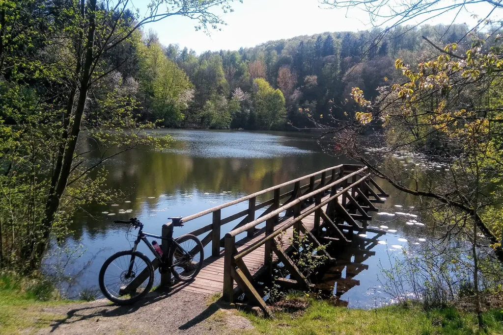 Ein Fahrrad, das an einem Steg steht, der auf einen kleinen Waldsee führt