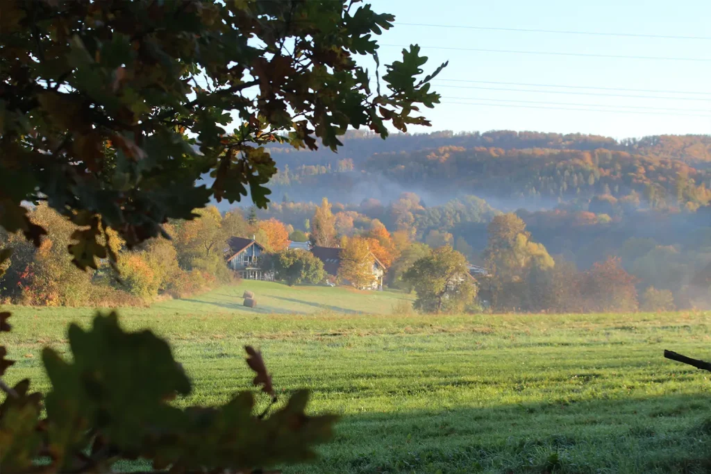 Herbstlandschaft mit Wiesen und Wald