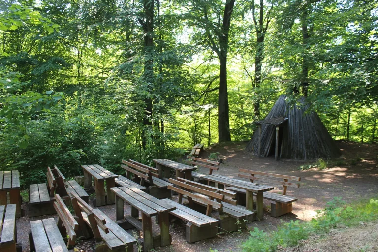 Kohlenmeilerplatz im Wald