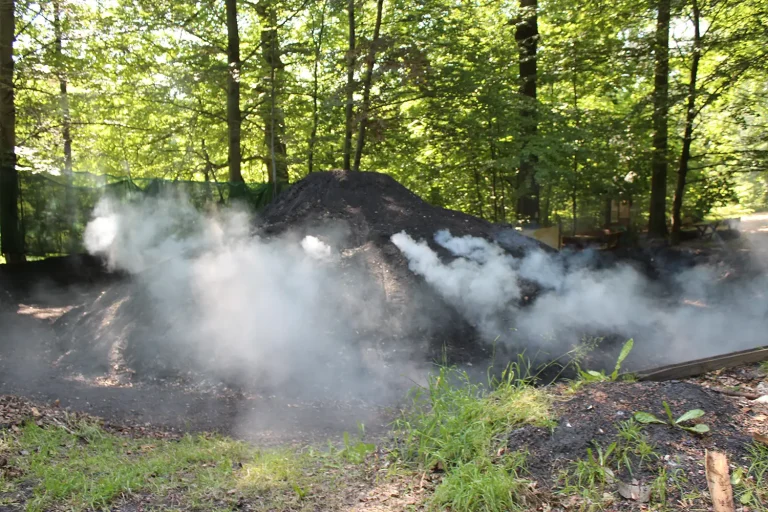 Kohlenmeilerplatz im Wald
