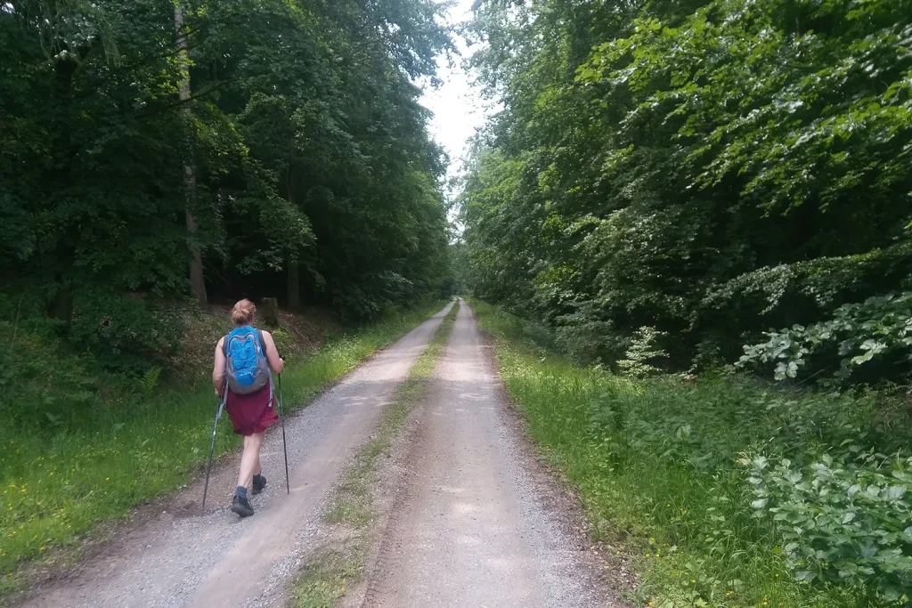 Eine Frau, die mit Nordic-Walking-Stöcken auf einem Waldweg wandert