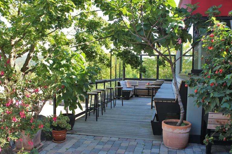 kleine Terrasse mit vielen Grünpflanzen und rustikalen Sitzmöbeln