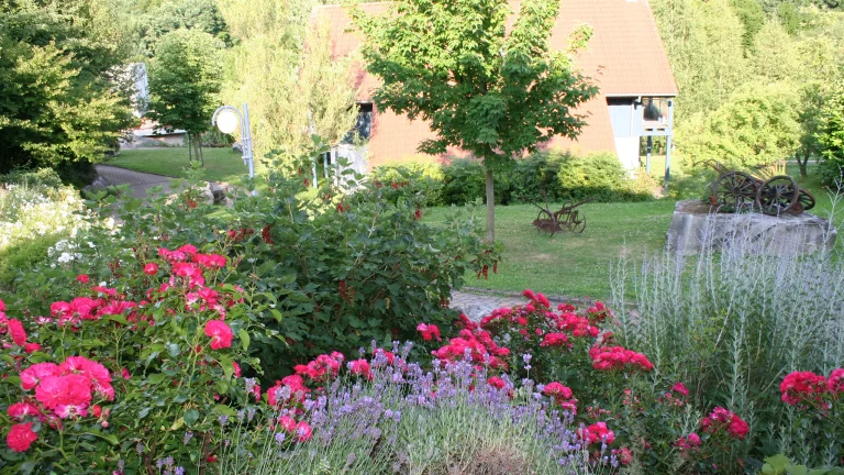 Garten mit blühenden Sträuchern, Rasenfläche und Bäumen