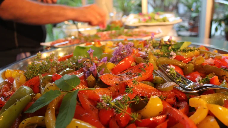 Blick auf eine Auswahl geschmortes Gemüse mit viel bunter Paprika und mit Kräutern garniert