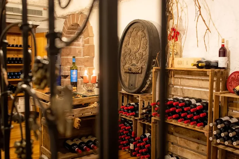 Ein rustikaler Weinkeller, in dem viele Weinflaschen in Regalen aufgereiht sind