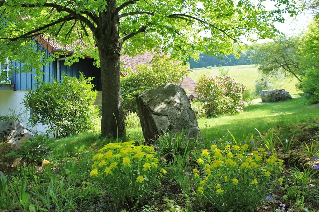 Ein großer Findling unter einem Baum auf einer Wiese