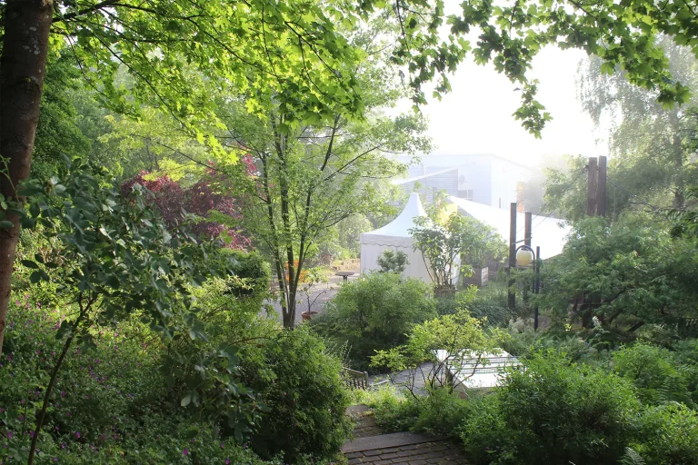 Hotelgarten mit vielen grünen Pflanzen in morgendlicher, nebliger Stimmung