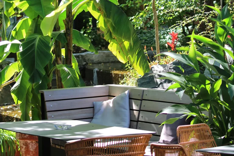 Rustikale Holzbank umgeben von exotischen Palmen