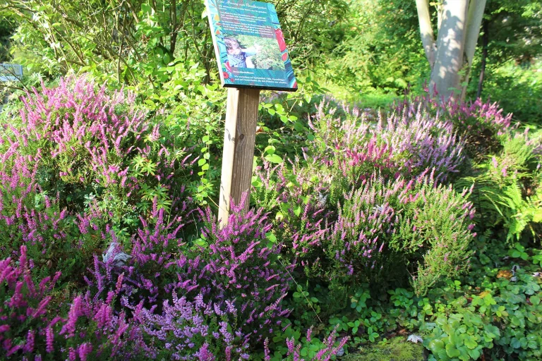 blühendes Beet, in dem an einem Holzpfosten befestigt eine Tafel mit Bild und Text befestigt ist