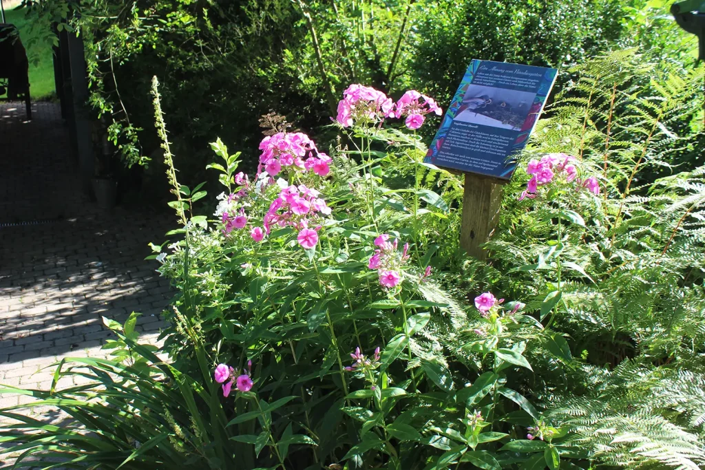Ein blühender Busch, in dem Eine Schild auf einem Holzpfosten angebracht ist