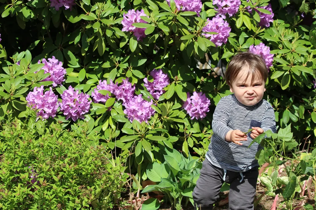 Ein kleiner Junge vor einem blühenden Busch