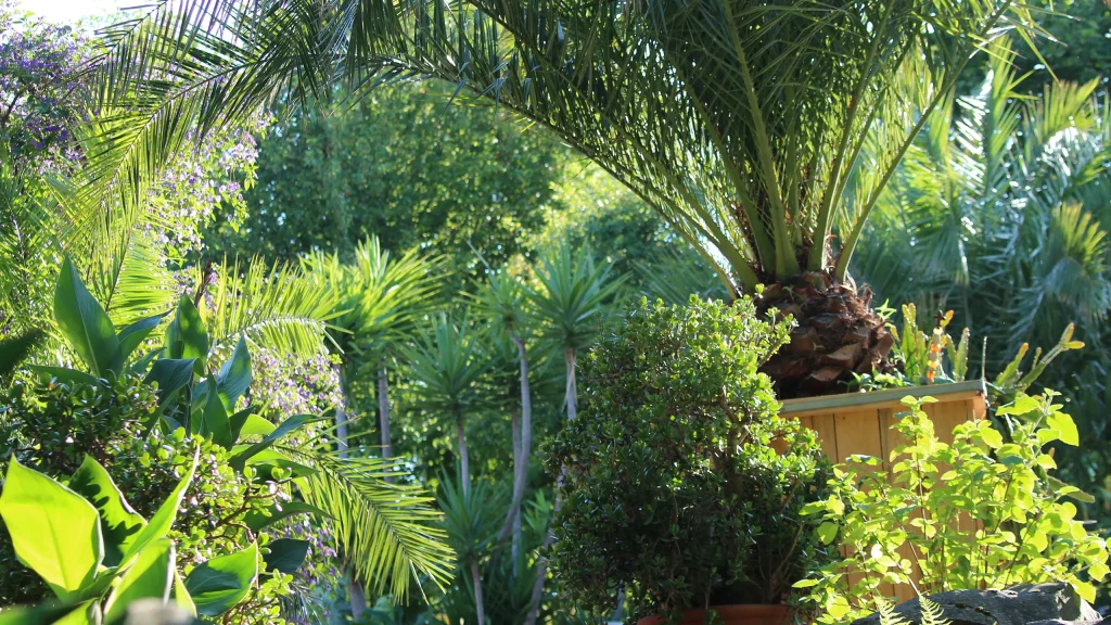 Hotelgarten mit vielen grünen Pflanzen und Palmen