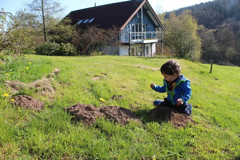 ein kleiner Junge sitzt auf einem Maulwurfshügel auf einer Wiese