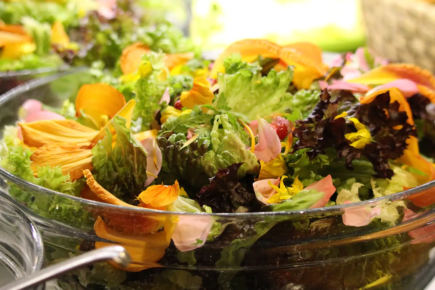 Eine Glasschale mit verschiedenen Blattsalaten und Blüten