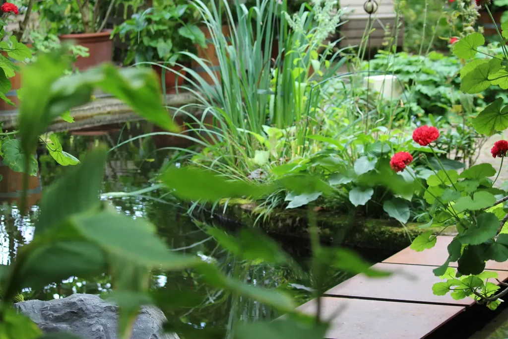 Ein Teich mit vielen Grünpflanzen