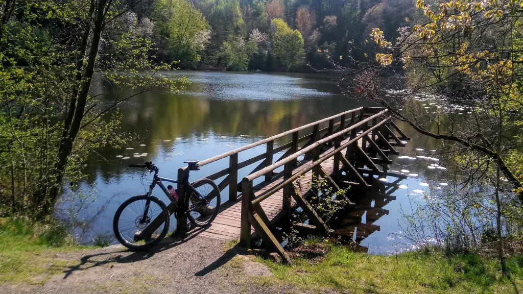 Ein Steg, der auf einen Natursee führt, davor ist ein Fahrrad an die Reling gelehnt