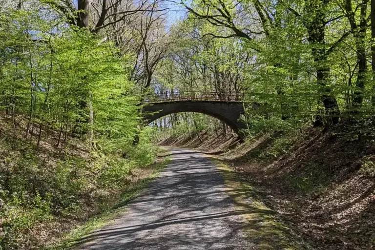 Ein Wanderweg, der unter einer kleinen Brücke hindurchführt