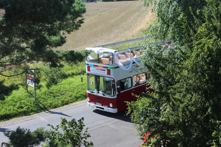 Ein Cabrio-Bus mit offenem Verdeck, der mit einem weißen Stoff dekoriert ist