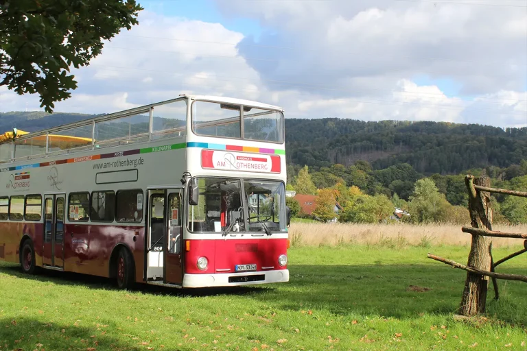 Ein Oldtimer-Doppeldecker-Bus auf einer Wiese