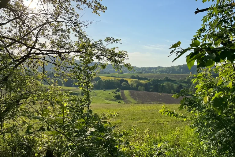 Felder und Wiesen, schöne Landschaft