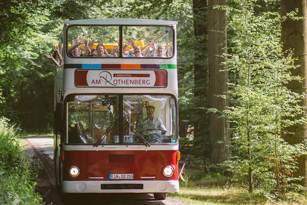 Ein Cabrio-Bus, der eine Waldstraße entlangfährt